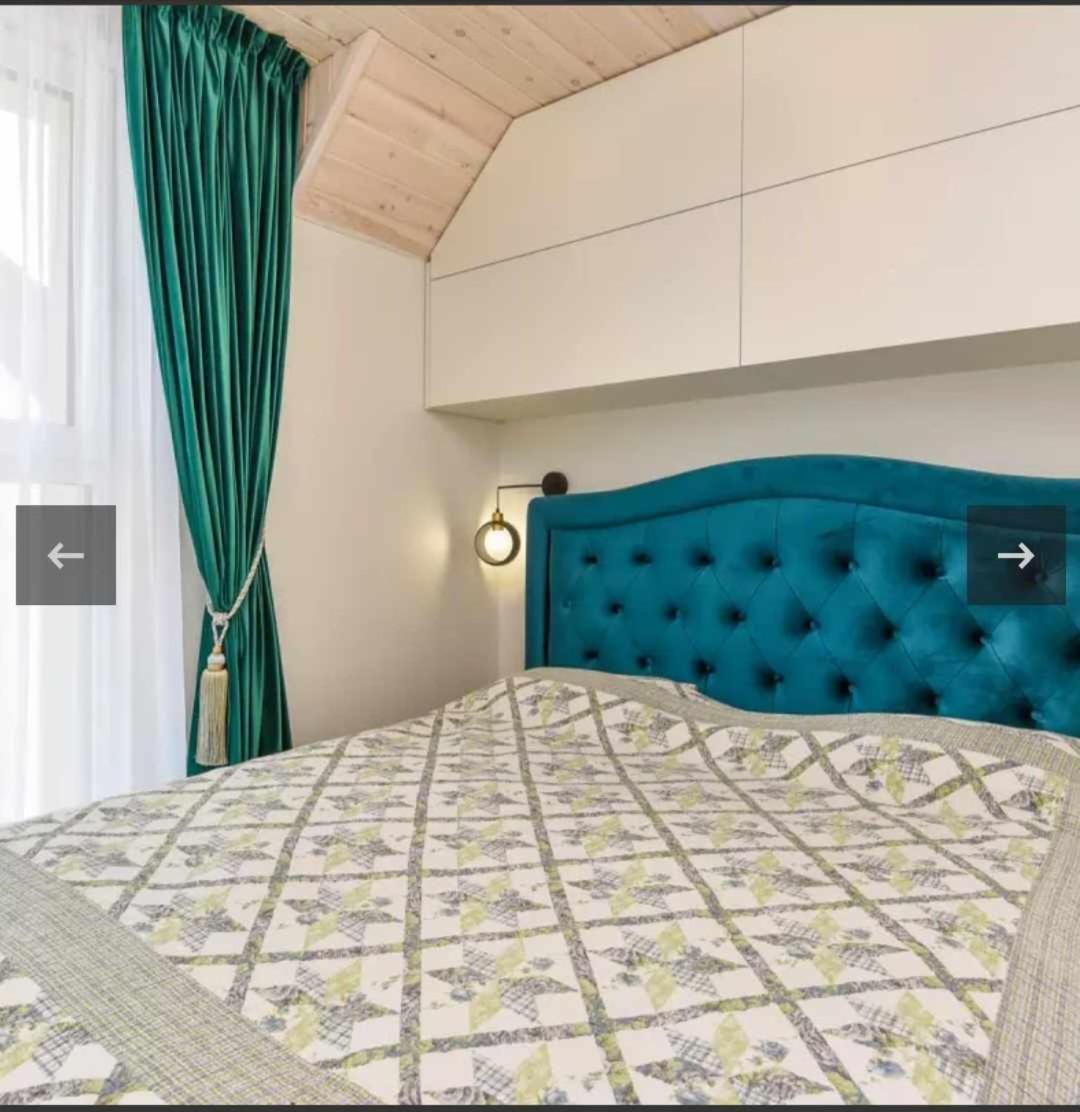 Ciki Puki Loftas Palanga