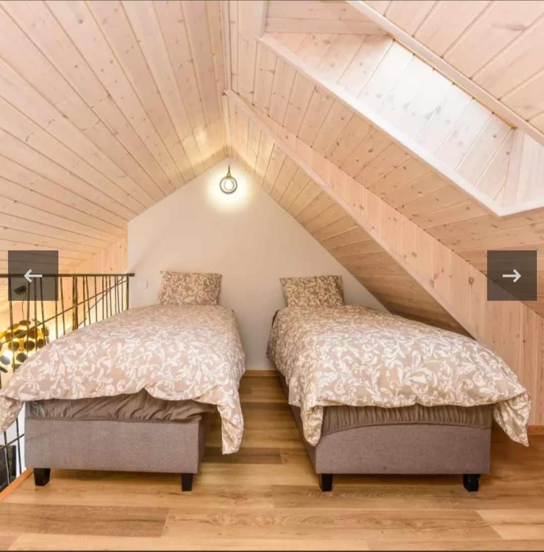 Ciki Puki Loftas *